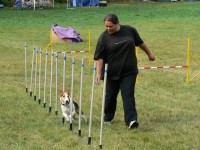 /album/agility-sanca/cvikov-080-jpg1/